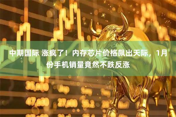 中期国际 涨疯了！内存芯片价格飙出天际，1月份手机销量竟然不跌反涨