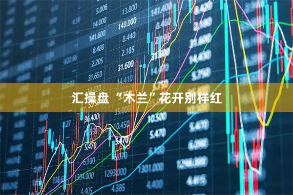 汇操盘 “木兰”花开别样红