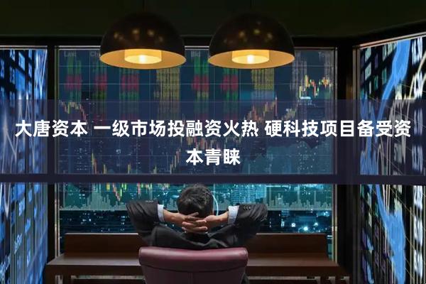 大唐资本 一级市场投融资火热 硬科技项目备受资本青睐