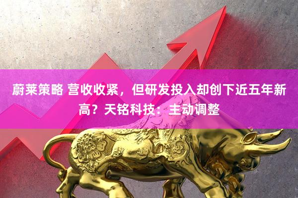 蔚莱策略 营收收紧，但研发投入却创下近五年新高？天铭科技：主动调整