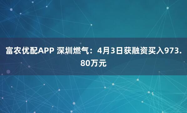 富农优配APP 深圳燃气：4月3日获融资买入973.80万元