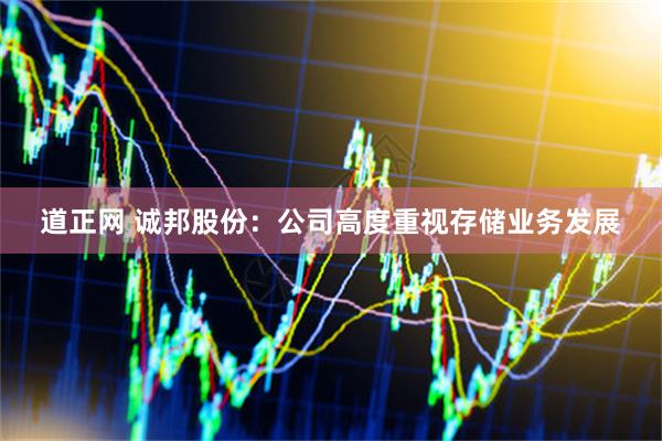 道正网 诚邦股份：公司高度重视存储业务发展