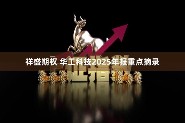 祥盛期权 华工科技2025年报重点摘录
