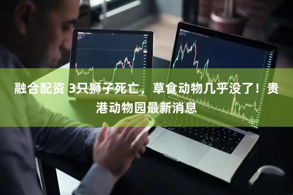 融合配资 3只狮子死亡,草食动物几乎没了!贵港动物园最新消息