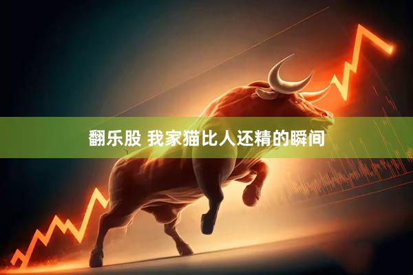 翻乐股 我家猫比人还精的瞬间