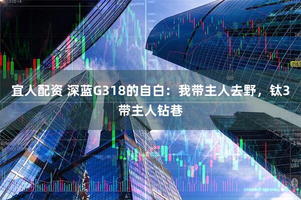 宜人配资 深蓝G318的自白：我带主人去野，钛3带主人钻巷