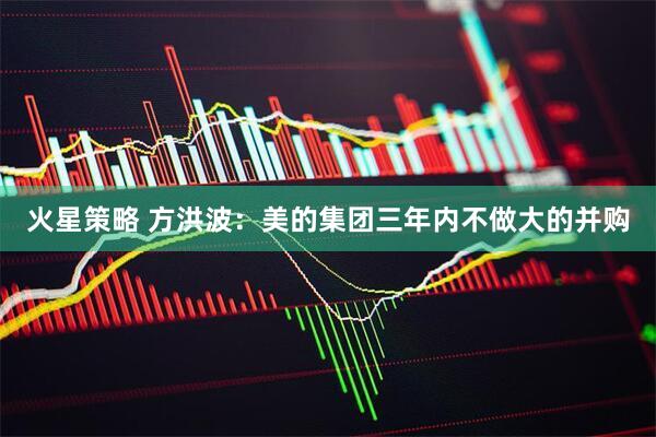 火星策略 方洪波：美的集团三年内不做大的并购