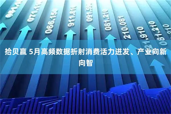 拾贝赢 5月高频数据折射消费活力迸发、产业向新向智